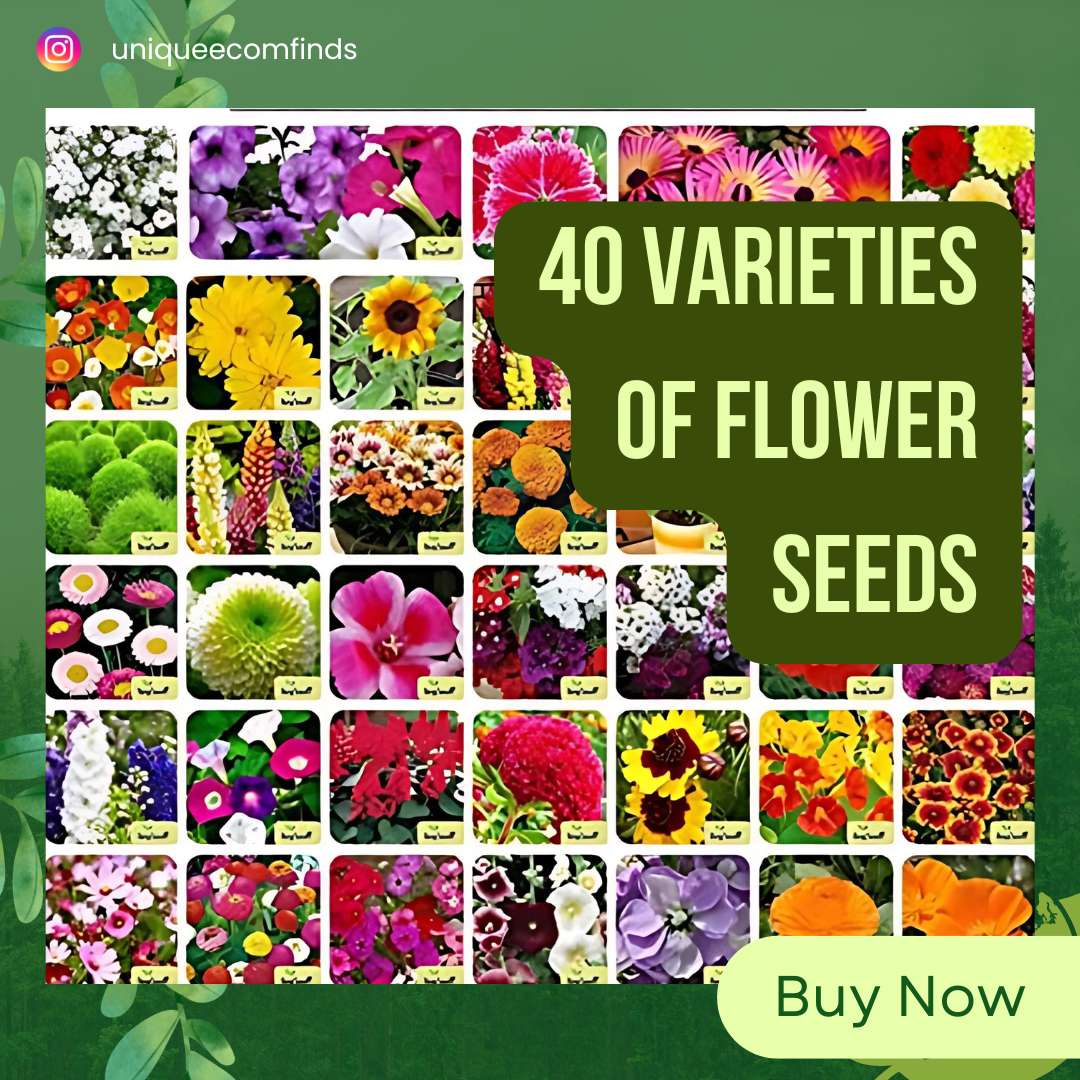 40 Varieties of Flower Seeds